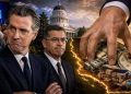 Newsom Becerra